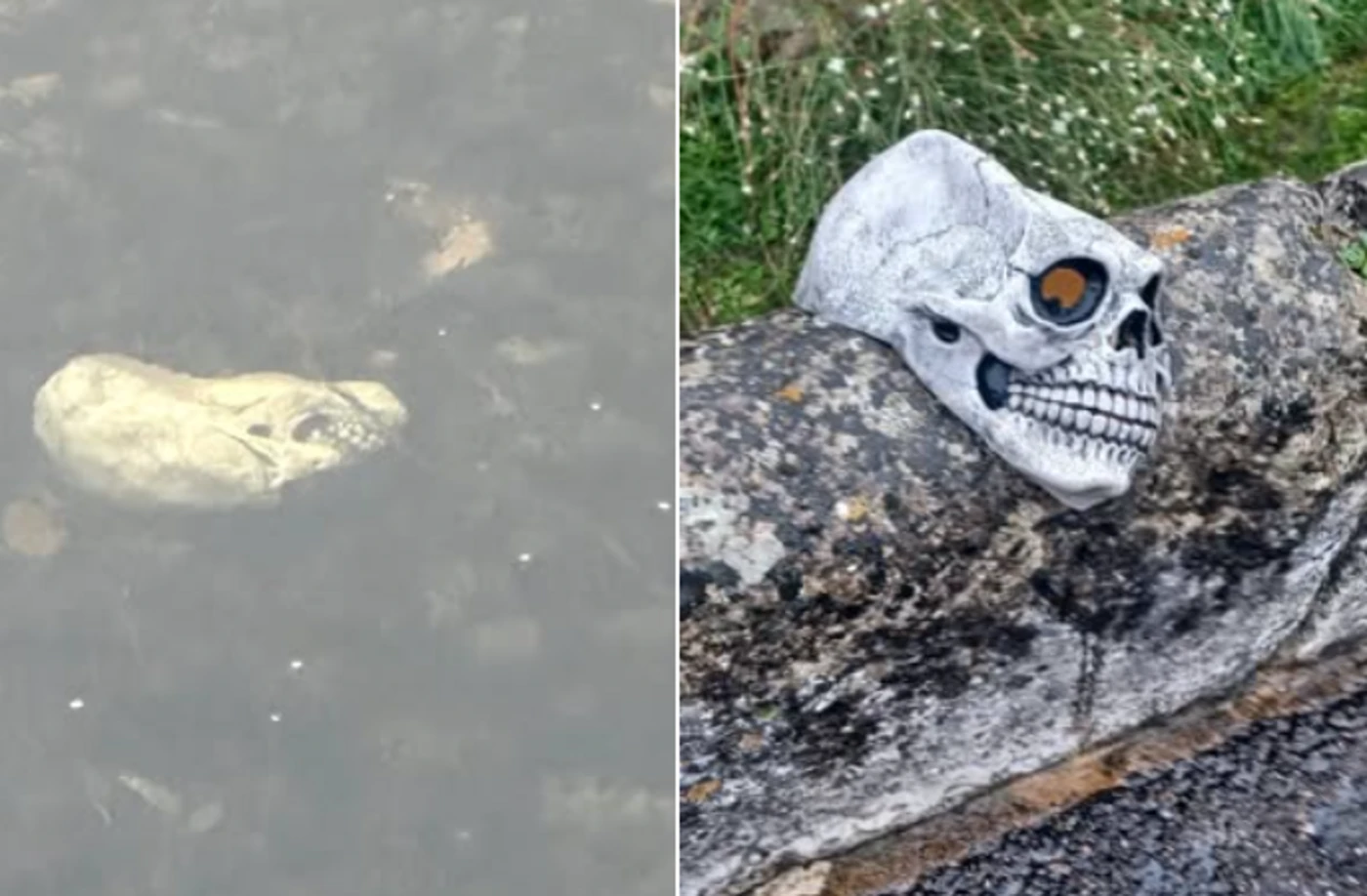 Elle aperçoit un crâne dans une rivière en Dordogne et appelle la police… il s’agissait en fait d’un masque d’Halloween
