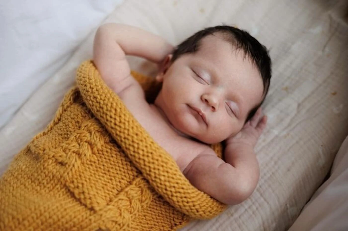 « Nous sommes vraiment fières de cette réussite » : en Eure-et-Loir, Ma petite laine tisse sa toile… jusqu’à l’Elysée !