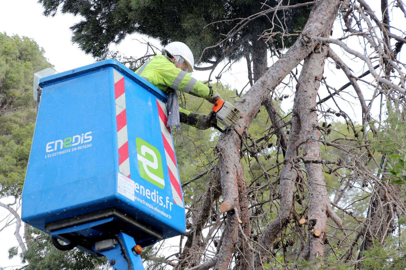 Tempête Floriane : encore « quelques centaines » de foyers privés de courant en Seine-et-Marne