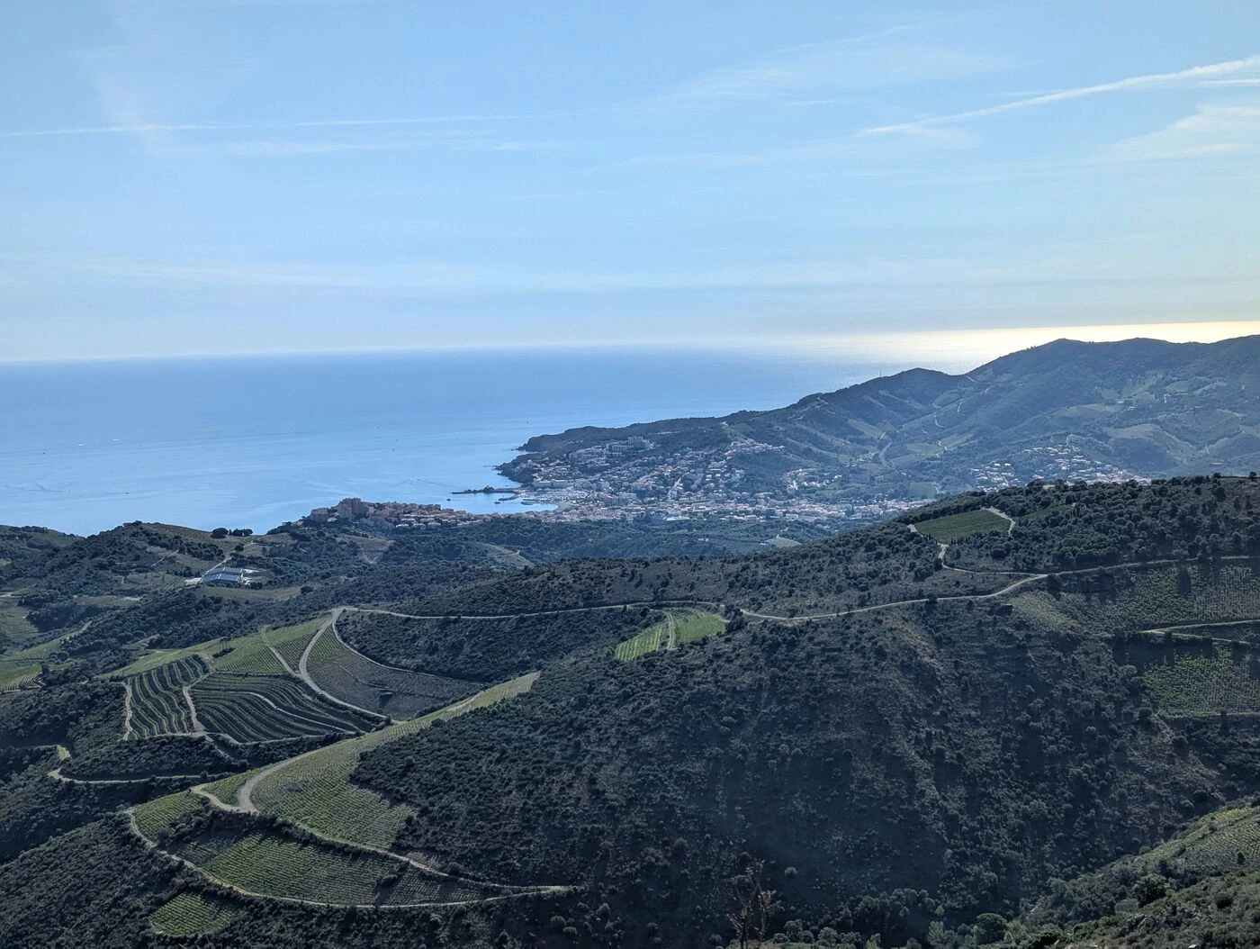 « Mettre en avant des terroirs particuliers » : dans le Roussillon, Collioure rêve d’avoir enfin ses premiers crus