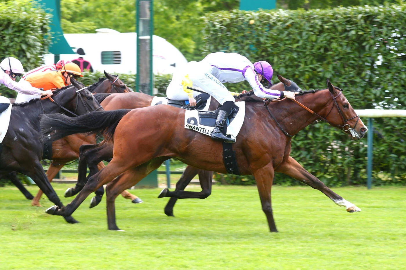 Arrivée du quinté du mardi 6 mai à Chantilly : succès mérité pour Game Run