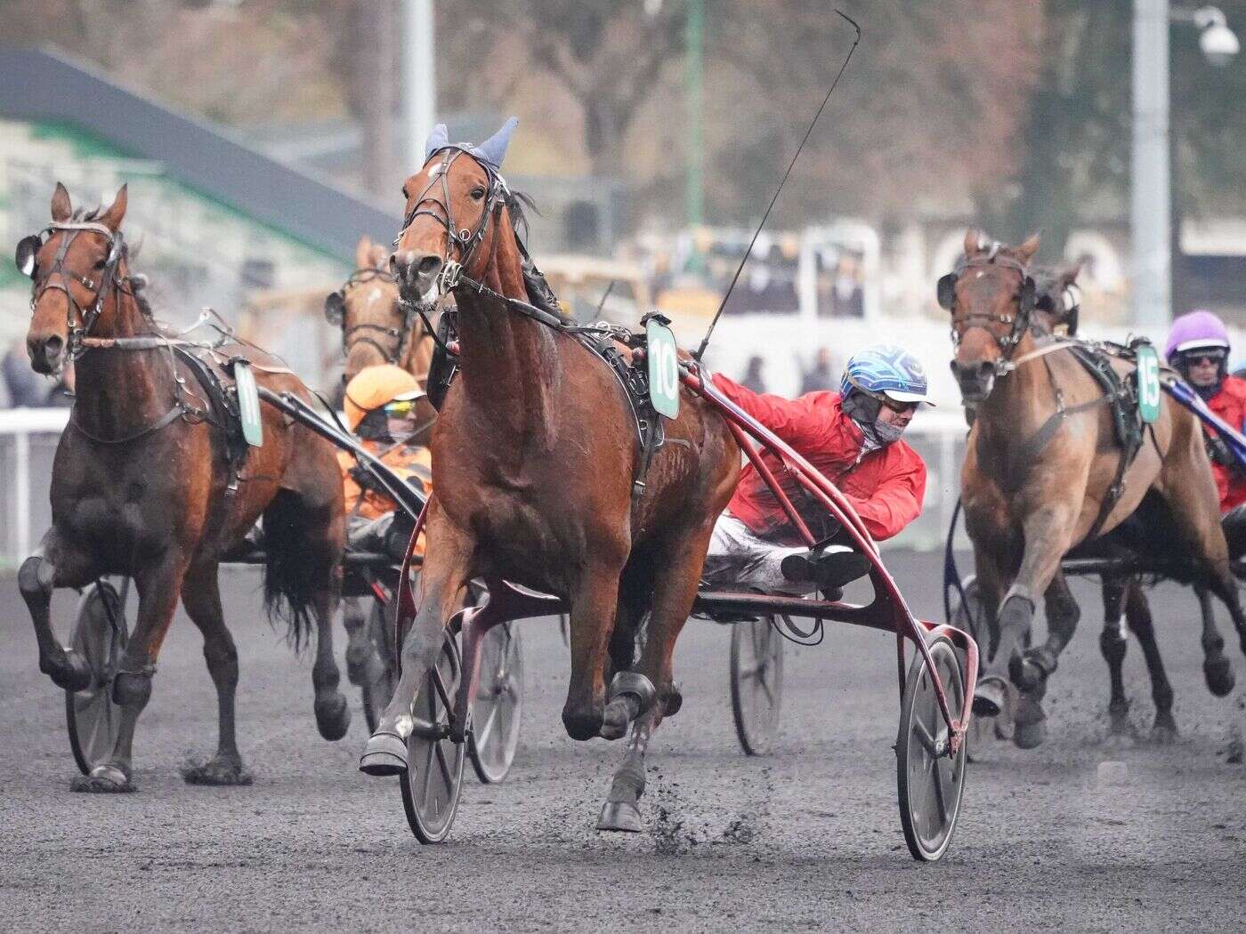 PMU - Arrivée du quinté du mardi 24 décembre à Paris-Vincennes : Isofou du Chêne fait tomber Cobra Killer Gar