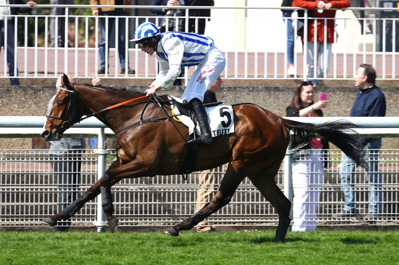 Arrivée du quinté du jeudi 10 avril à Auteuil : la confiance de Louisa Carberry se confirme en piste avec Robin Hill