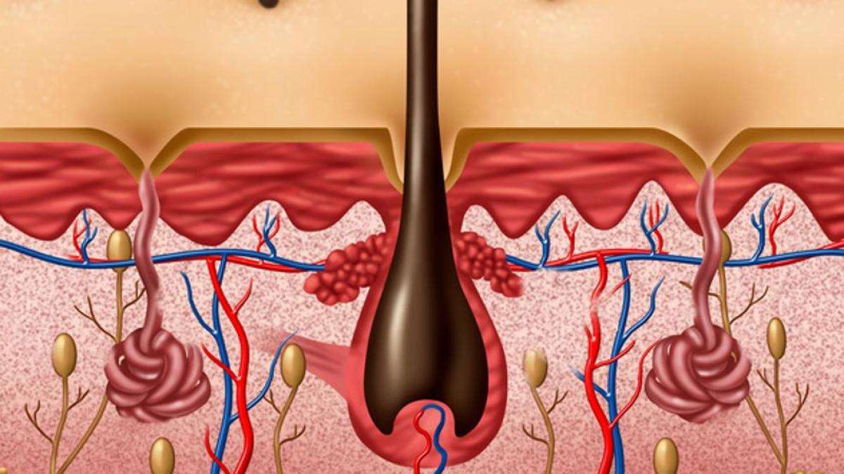 Hiperhidrosis axilar: cómo controlar el exceso de sudoración