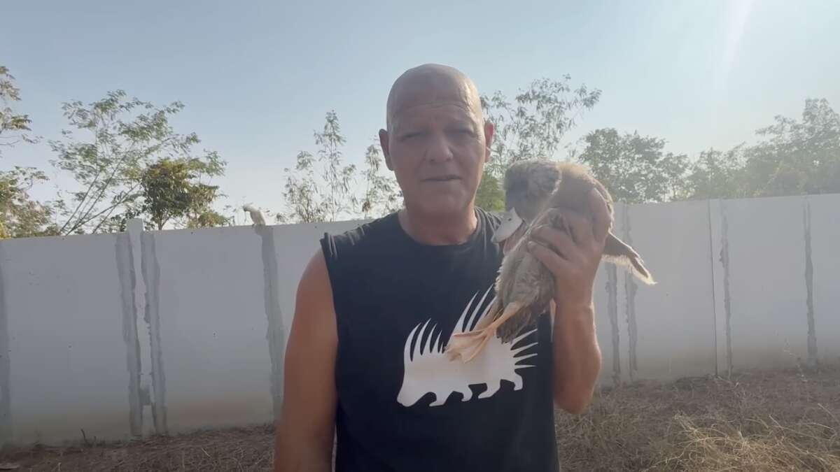 Frank Cuesta enseña como le está afectando el tratamiento del cáncer: “Este pato tiene más pelo que yo”