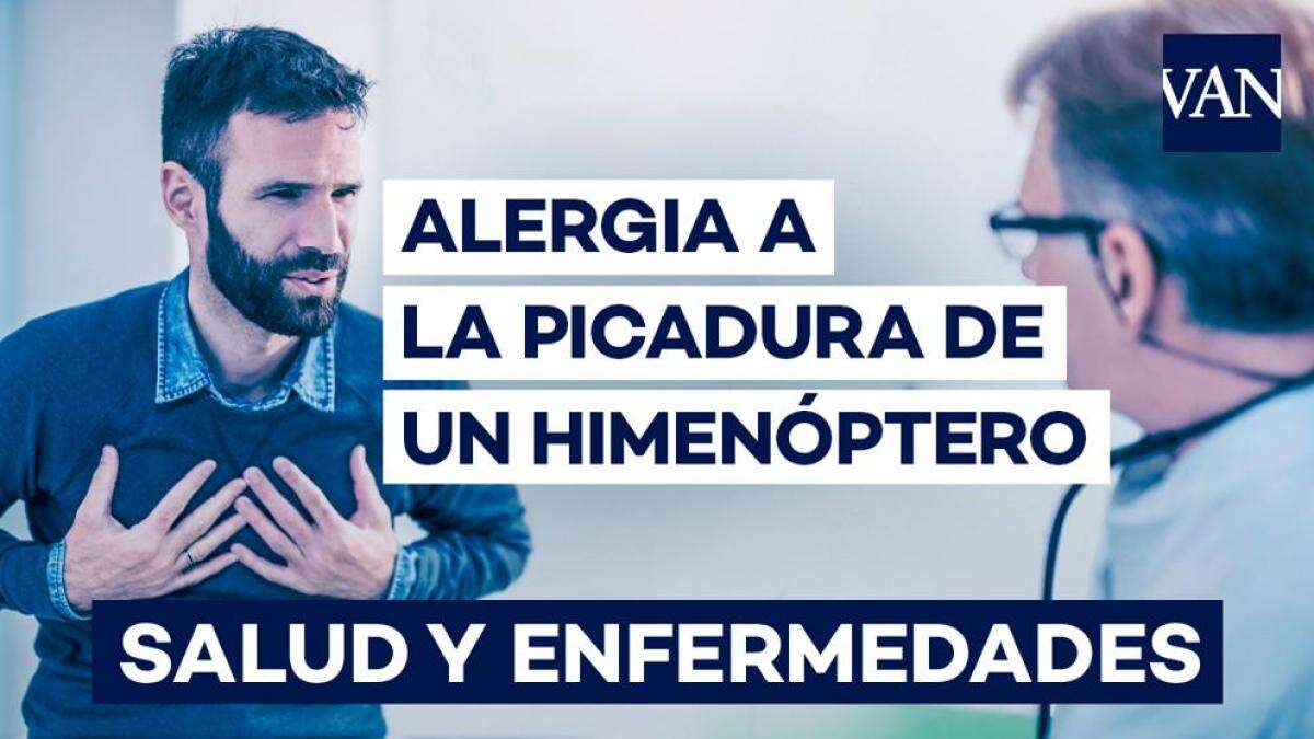 Alergia a las picaduras de himenópteros: cómo reconocer y tratar esta reacción peligrosa