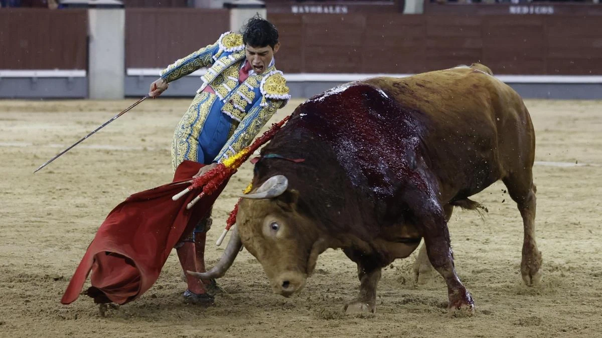 Isaac Fonseca corta una oreja a un gran toro de Pedraza de Yeltes, premiado con vuelta a ruedo