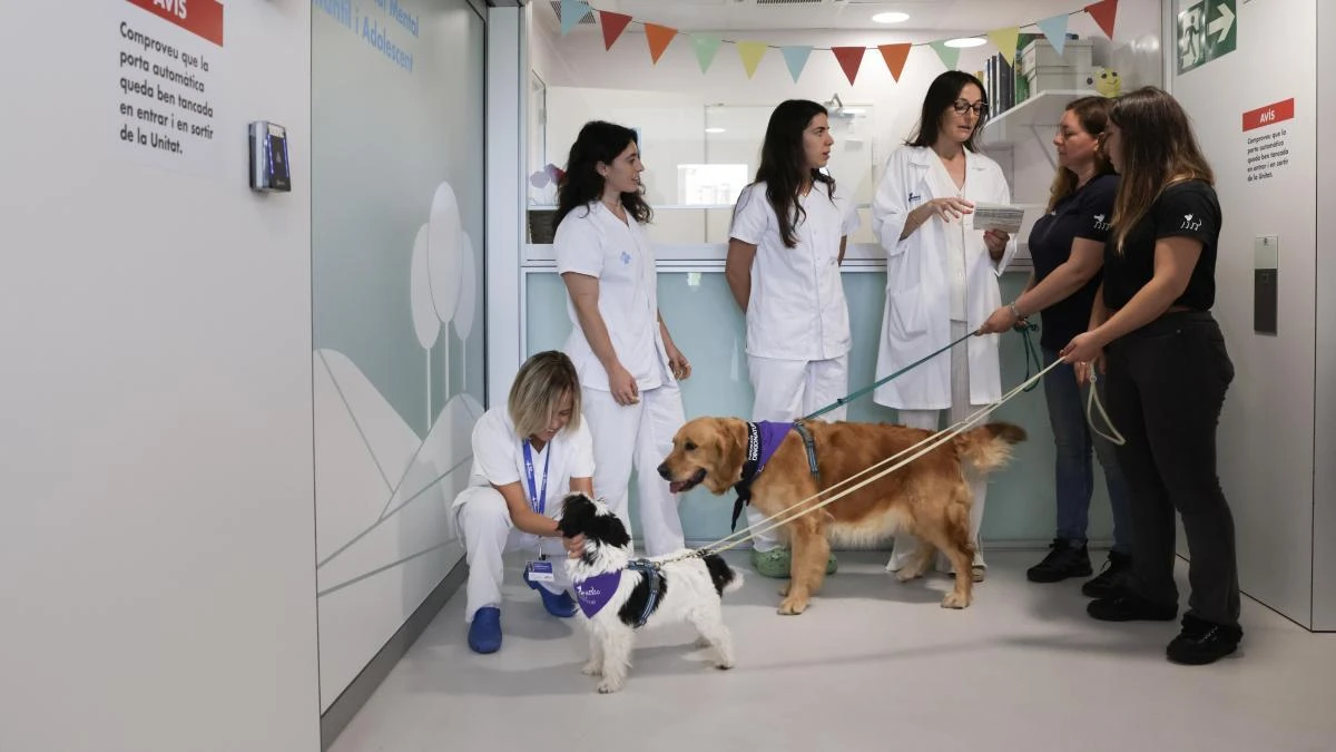 El hospital Vall d'Hebron ficha a cinco 'dogtoras'