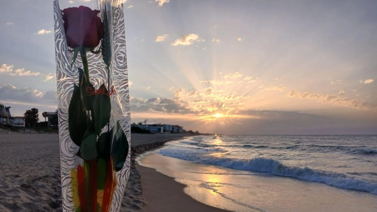 La rosa crepuscular de Sant Jordi en la playa de Gavà