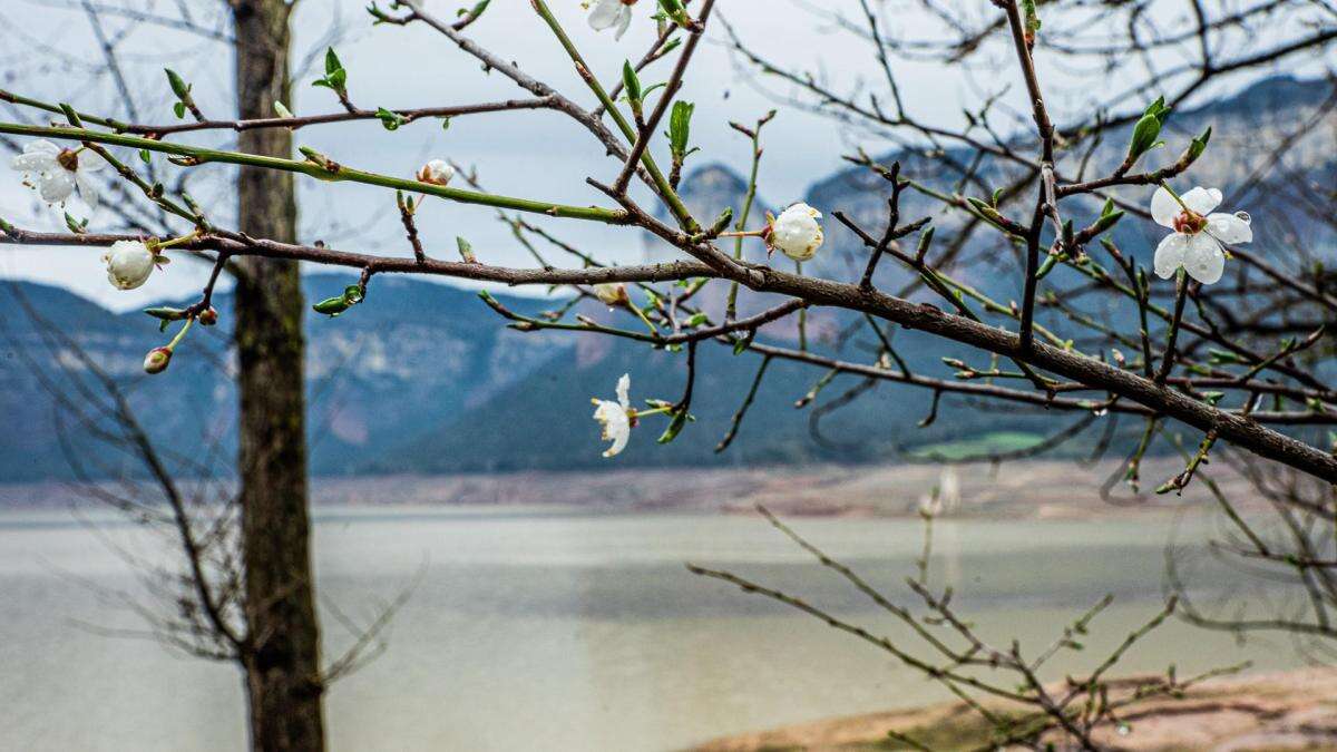 El renacimiento del pantano de Sau