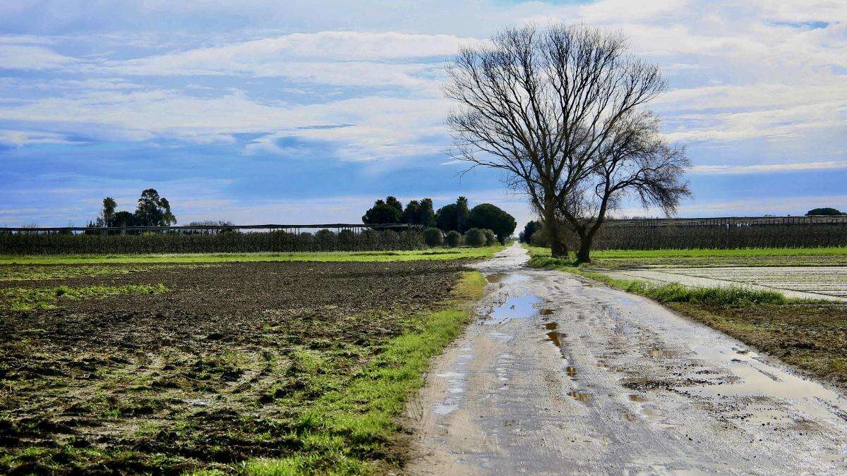 Los paisajes encharcados de Torroella