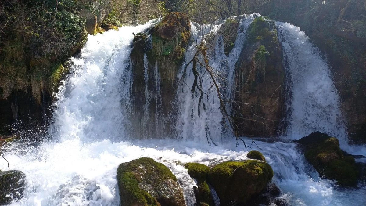 Rebosante nacimiento del río Bastareny