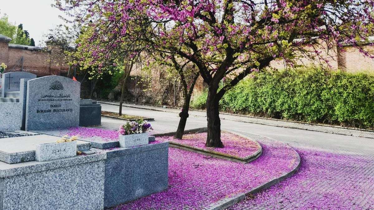 Amoroso homenaje a los librepensadores