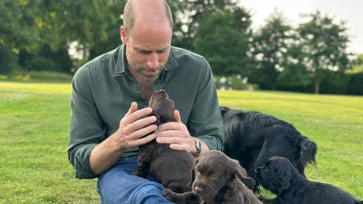 PETA critica a los príncipes de Gales por criar cachorros en plena crisis de abandono