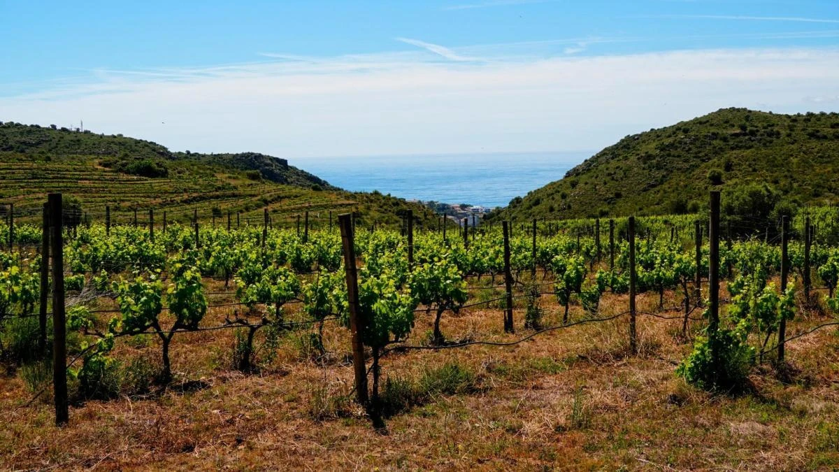 El paisaje más rural del Cap de Creus