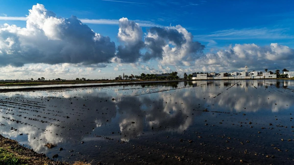 Los estéticos reflejos de Poblenou del Delta