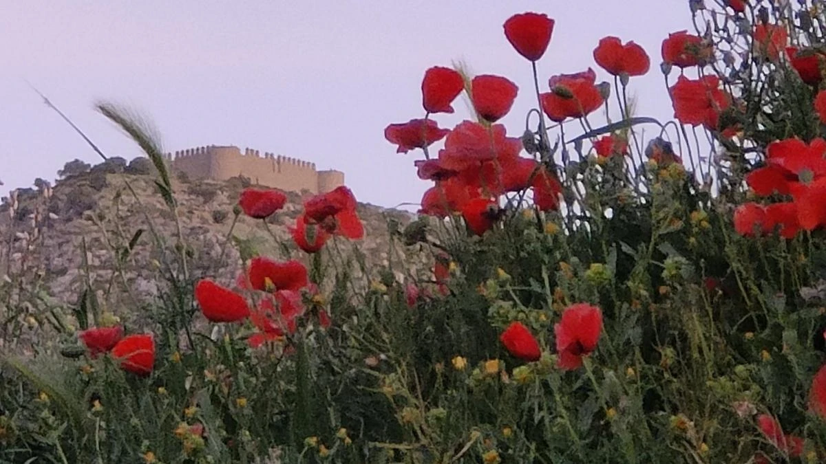 Olores de primavera, calor de verano