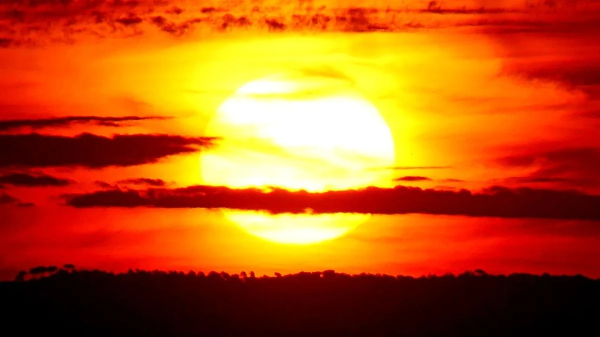 El sol abrasador precursor del verano