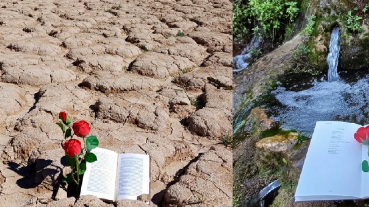 Un Sant Jordi sin sequía de agua, libros y rosas