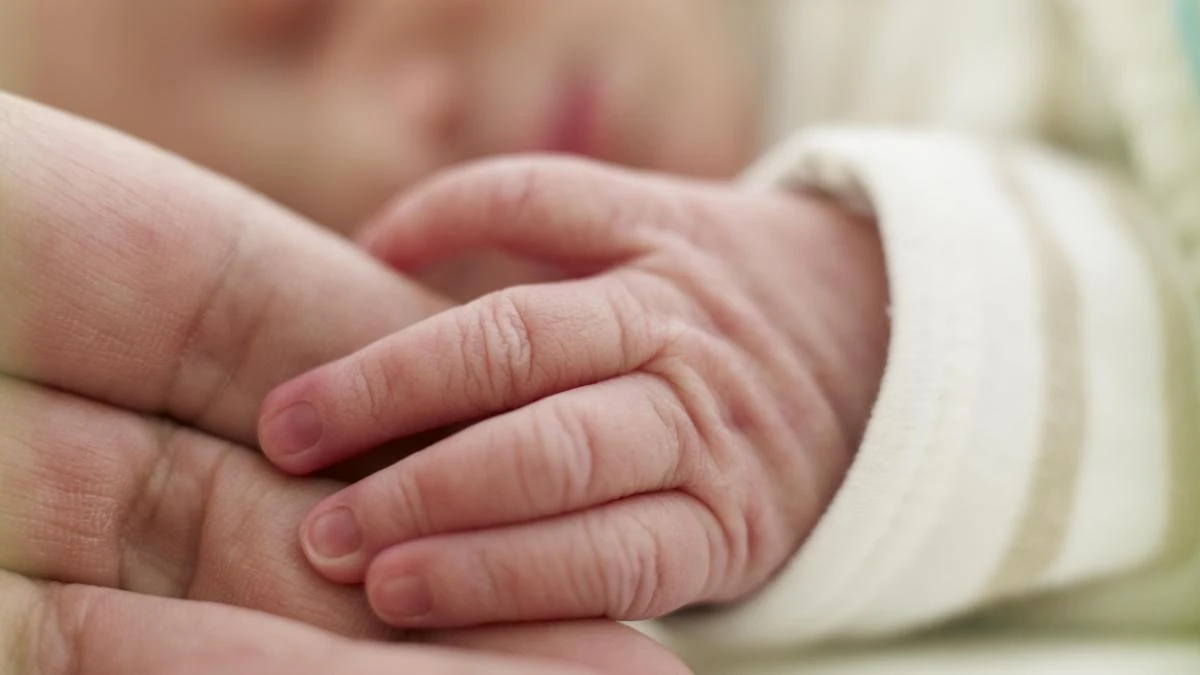 España prohíbe el registro directo de bebés nacidos por gestación subrogada