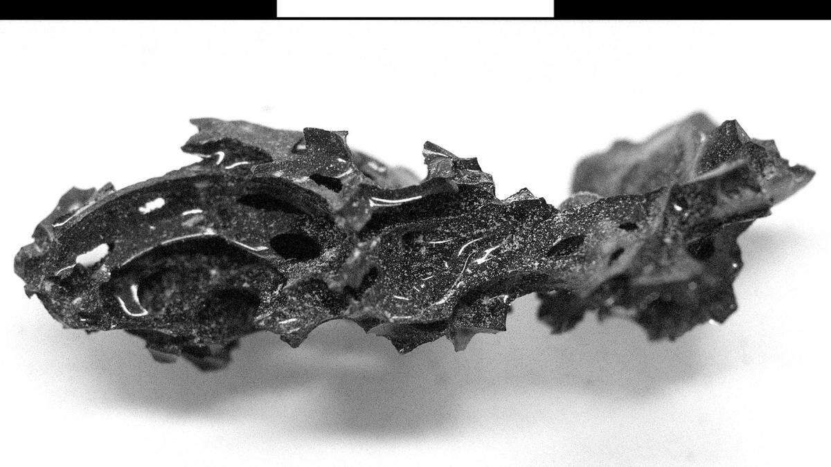 Una nube de ceniza del Vesubio convirtió un cerebro en vidrio hace 1.950 años