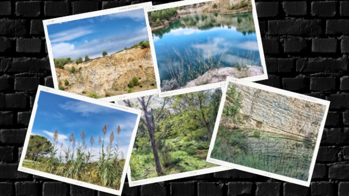 El Parc dels Talls de Vilobí del Penedès, en imágenes