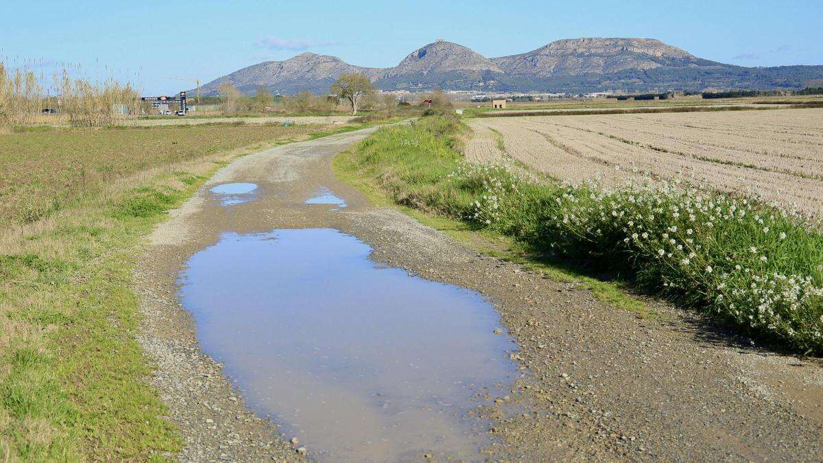 El paisaje encharcado del Baix Empordà