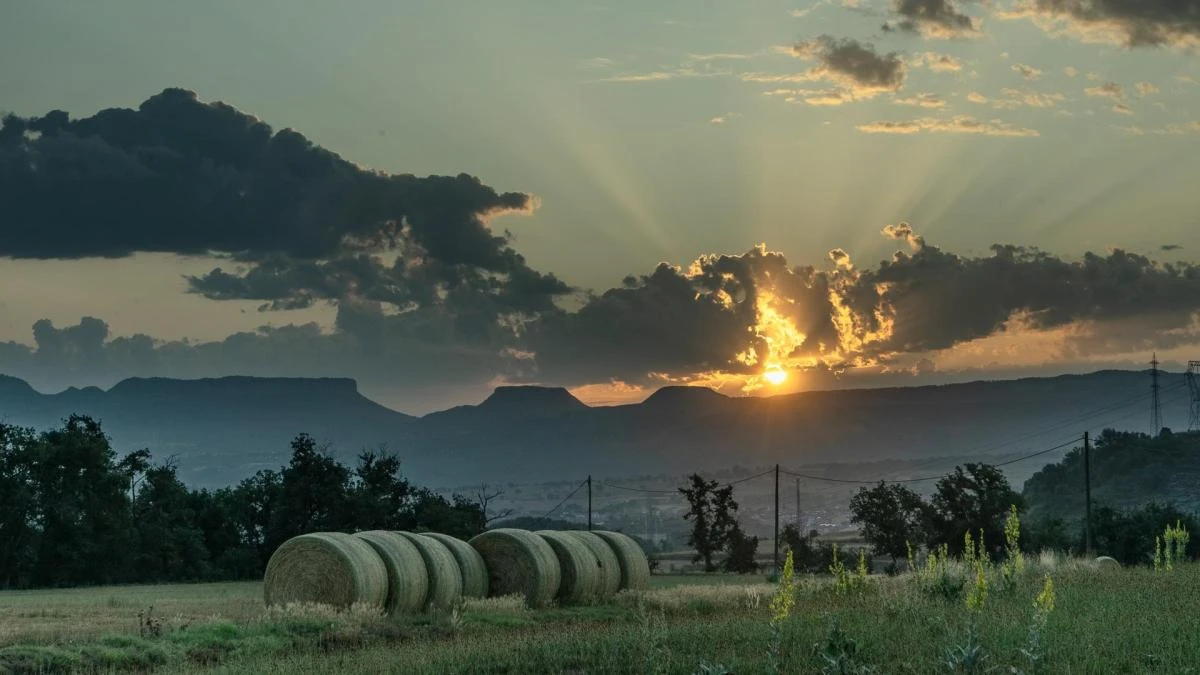 El perpetuo paisaje caluroso