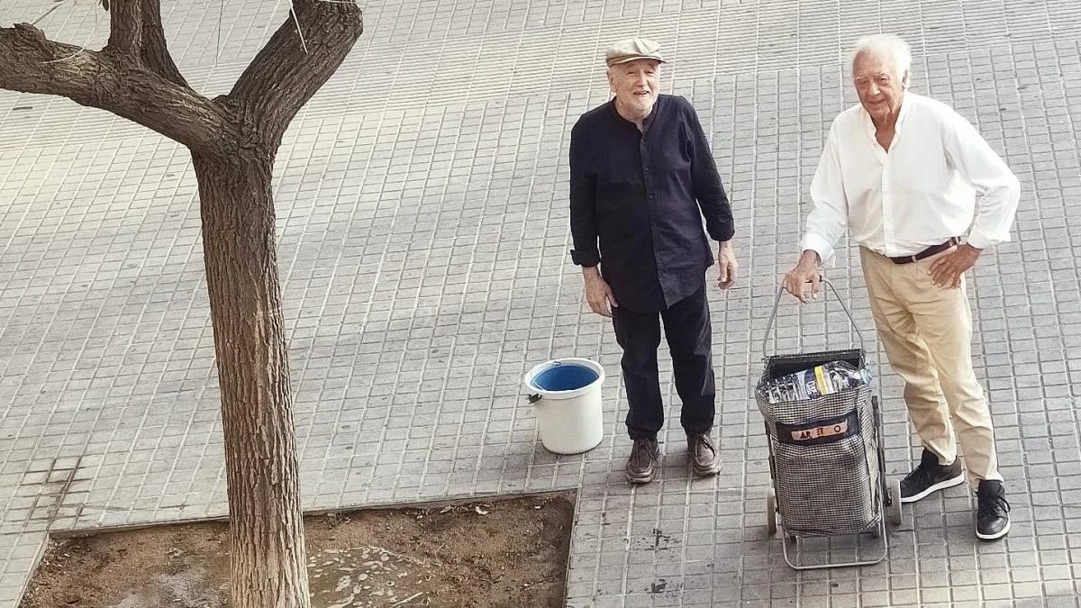 Vecinos del Eixample remojan el árbol de su calle ante la falta de riego del Ayuntamiento