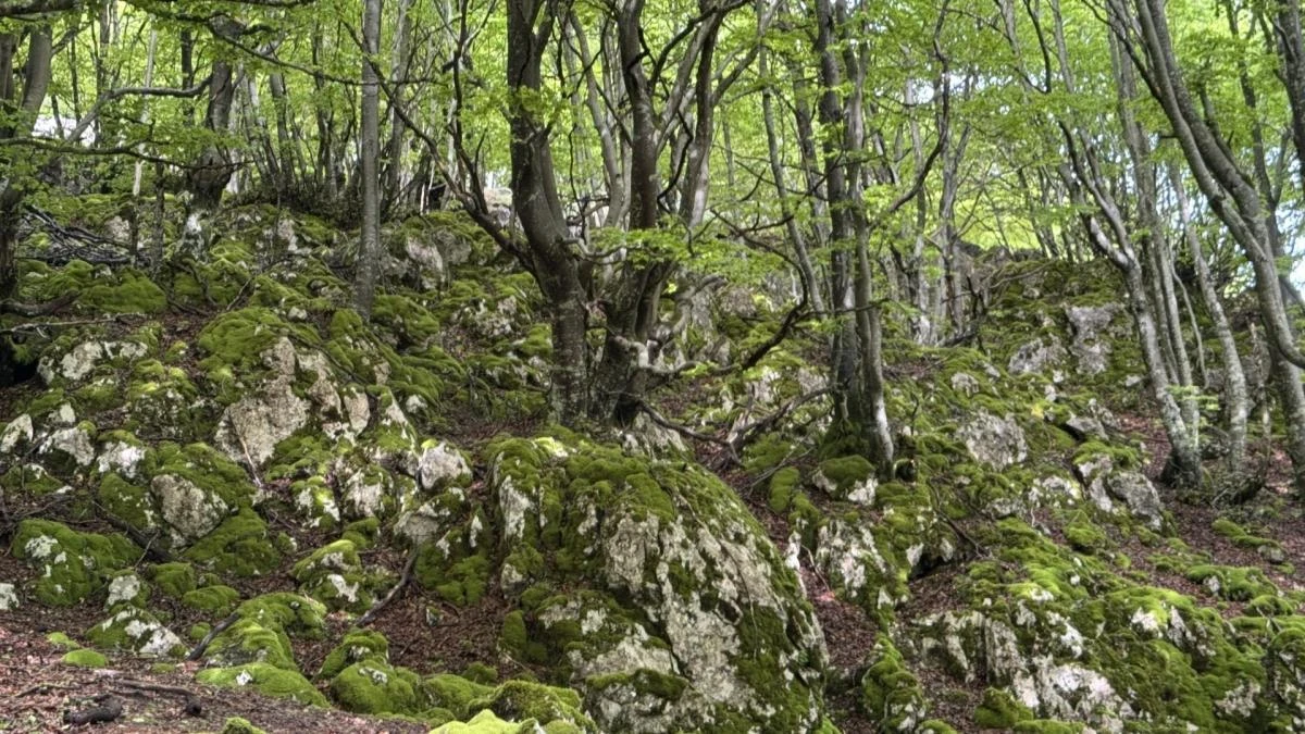 El paisaje élfico con vistas a Logroño