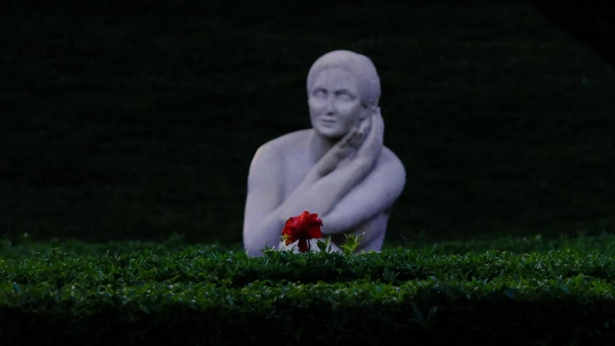 La rosa de la serenidad
