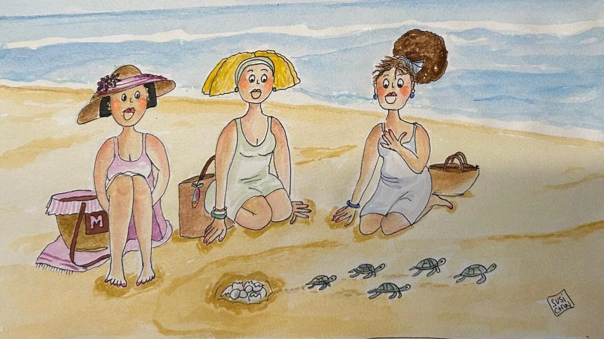 Nacen las tortugas bobas