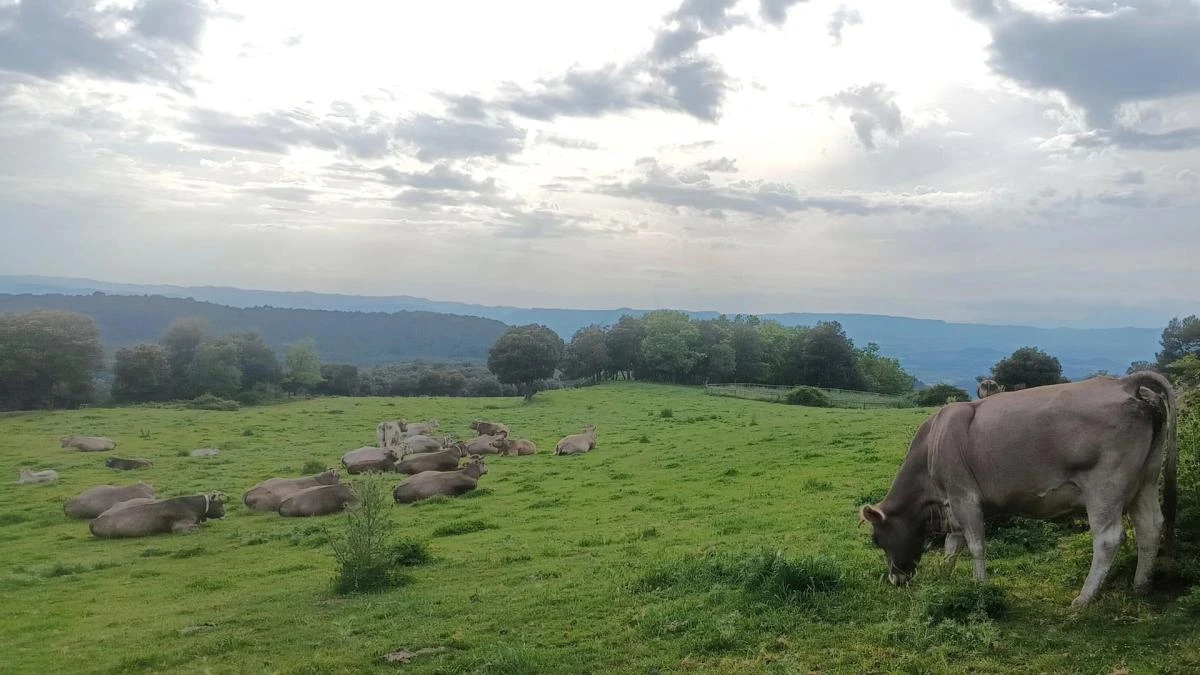 El disfrute del paisaje en Tavèrnoles