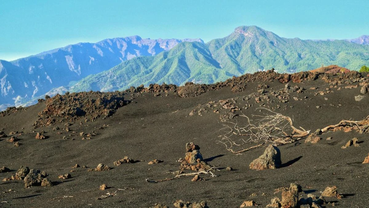 El delta de lava de la fajana de Tajogaite