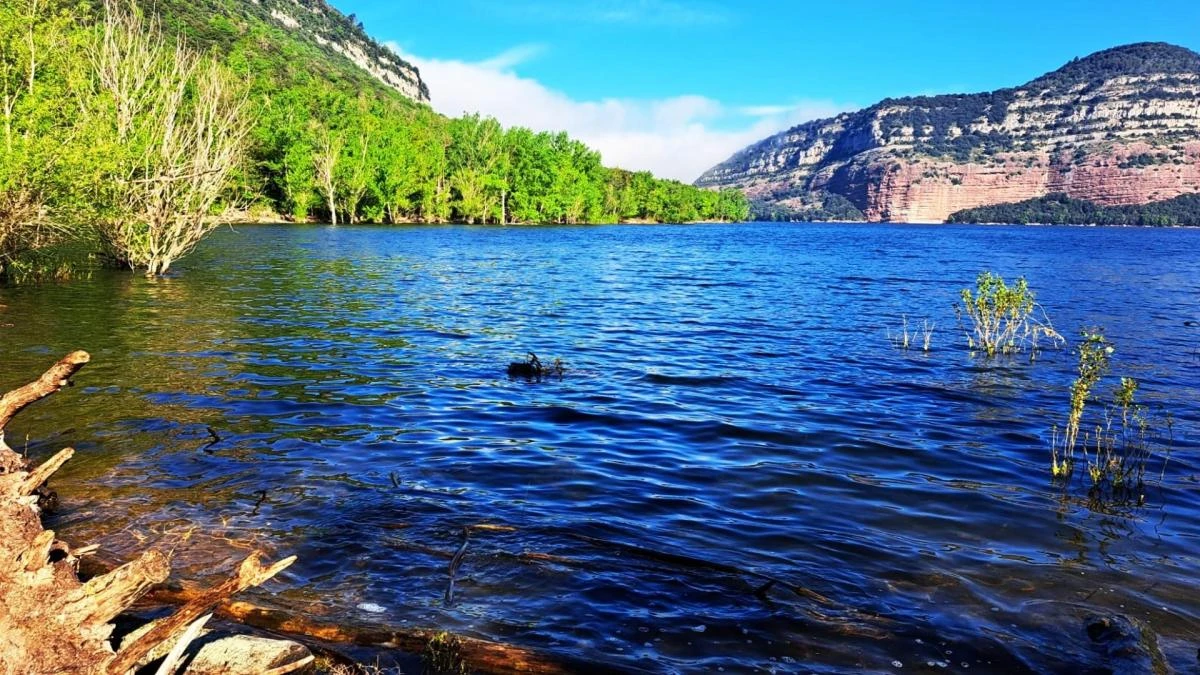 El pantano de Sau más primaveral