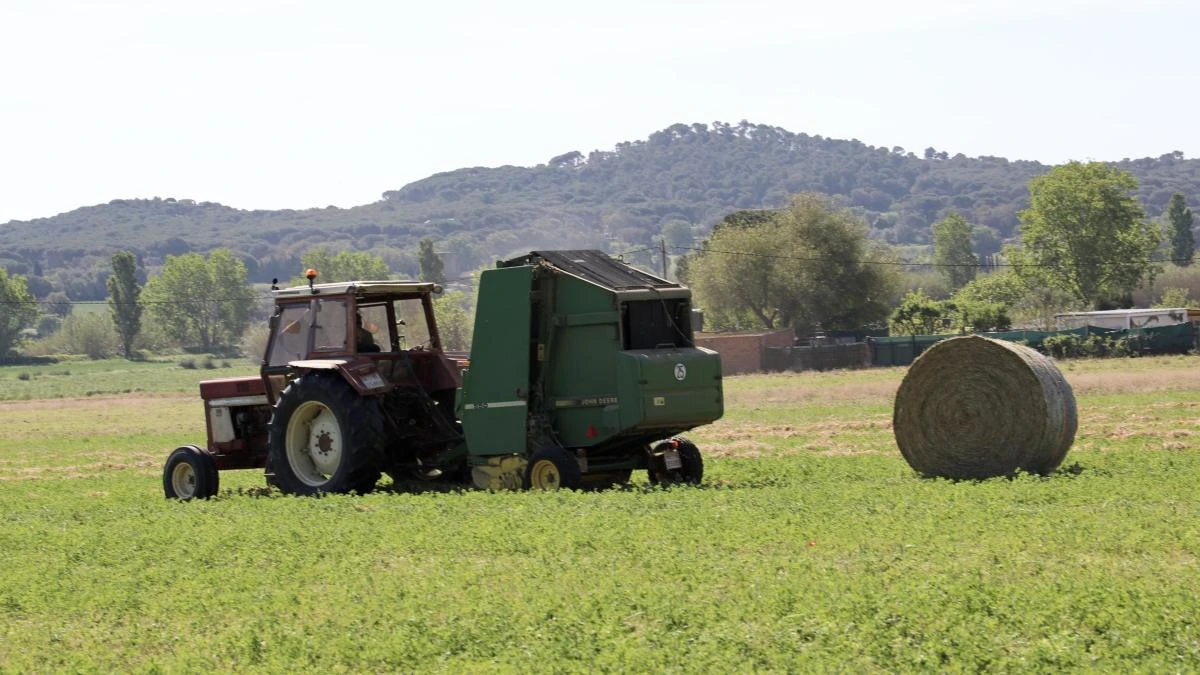 Así se consiguen las balas de alfalfa