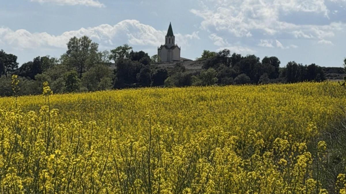 La espléndida primavera de Puig-agut