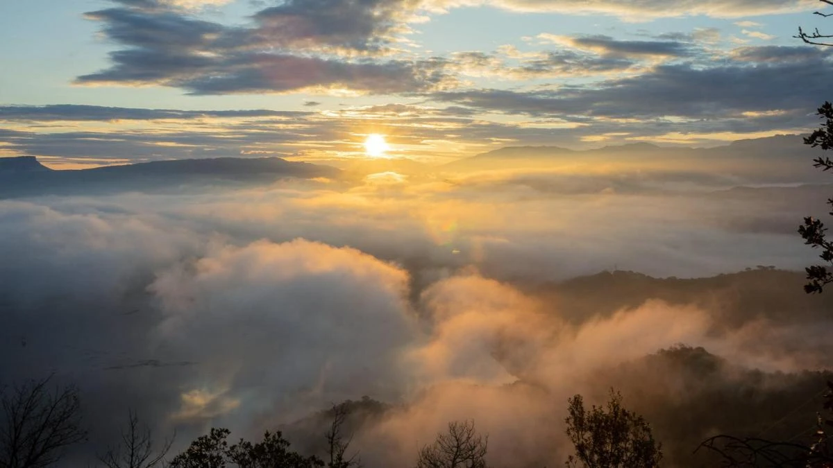La mágica niebla sobre el pantano de Sau