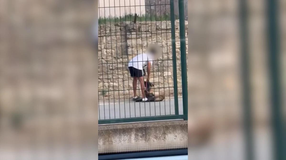 Un vídeo viral en redes sociales ayuda a destapar un caso de maltrato animal
