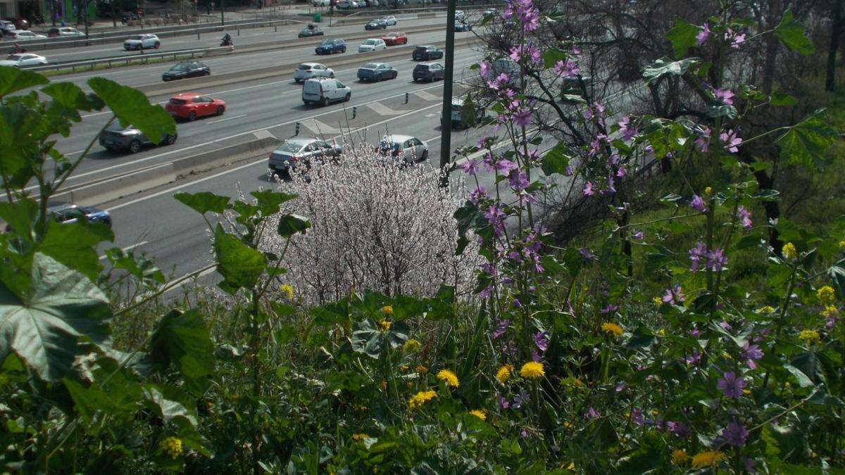 Ya (casi) es primavera en la M-30