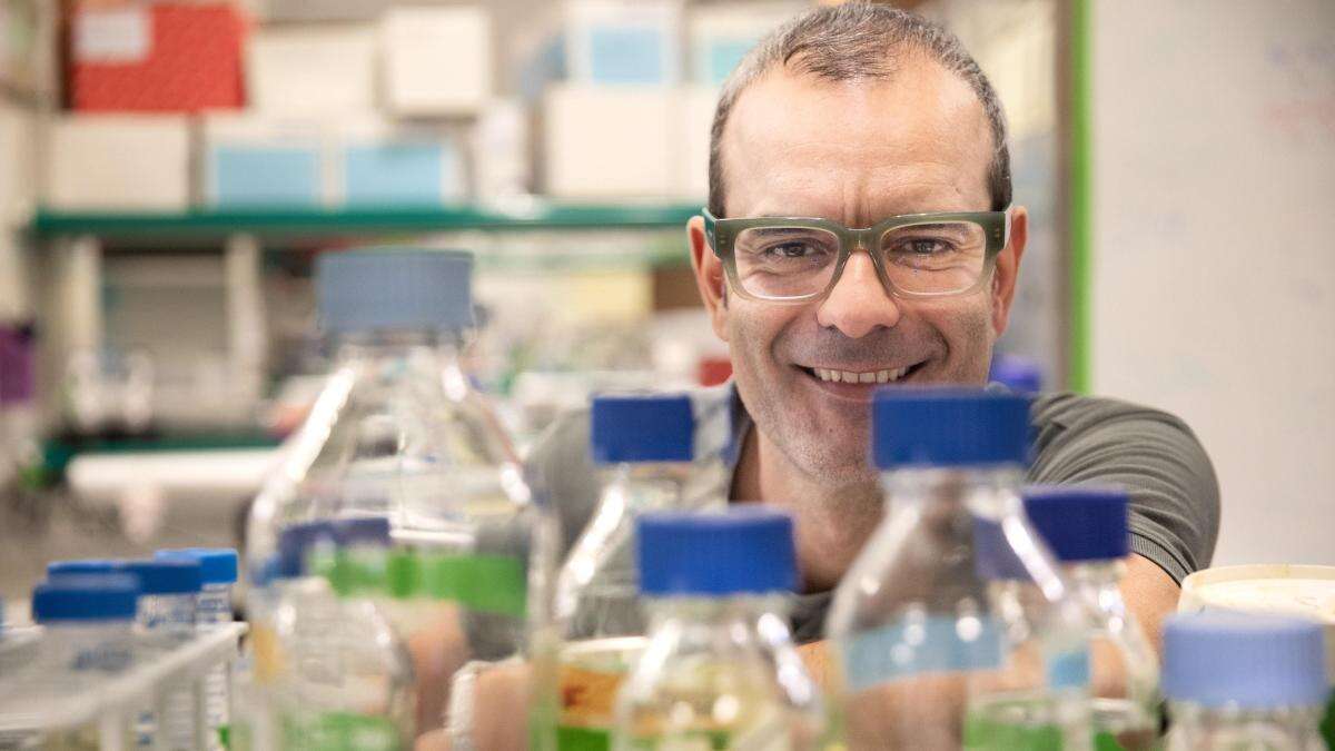 Salvador Aznar, del IRB Barcelona, en un top 50 mundial de investigadores biomédicos