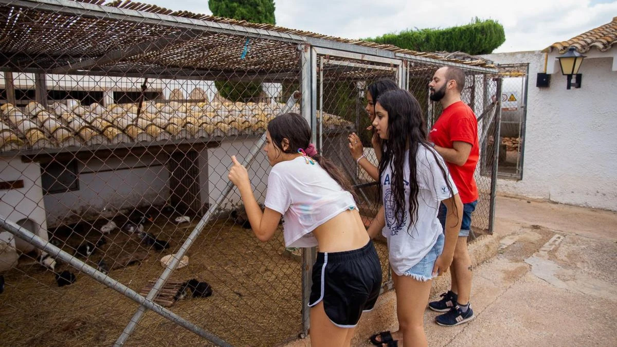 Escuelas de verano para que los niños sin recursos también tengan vacaciones
