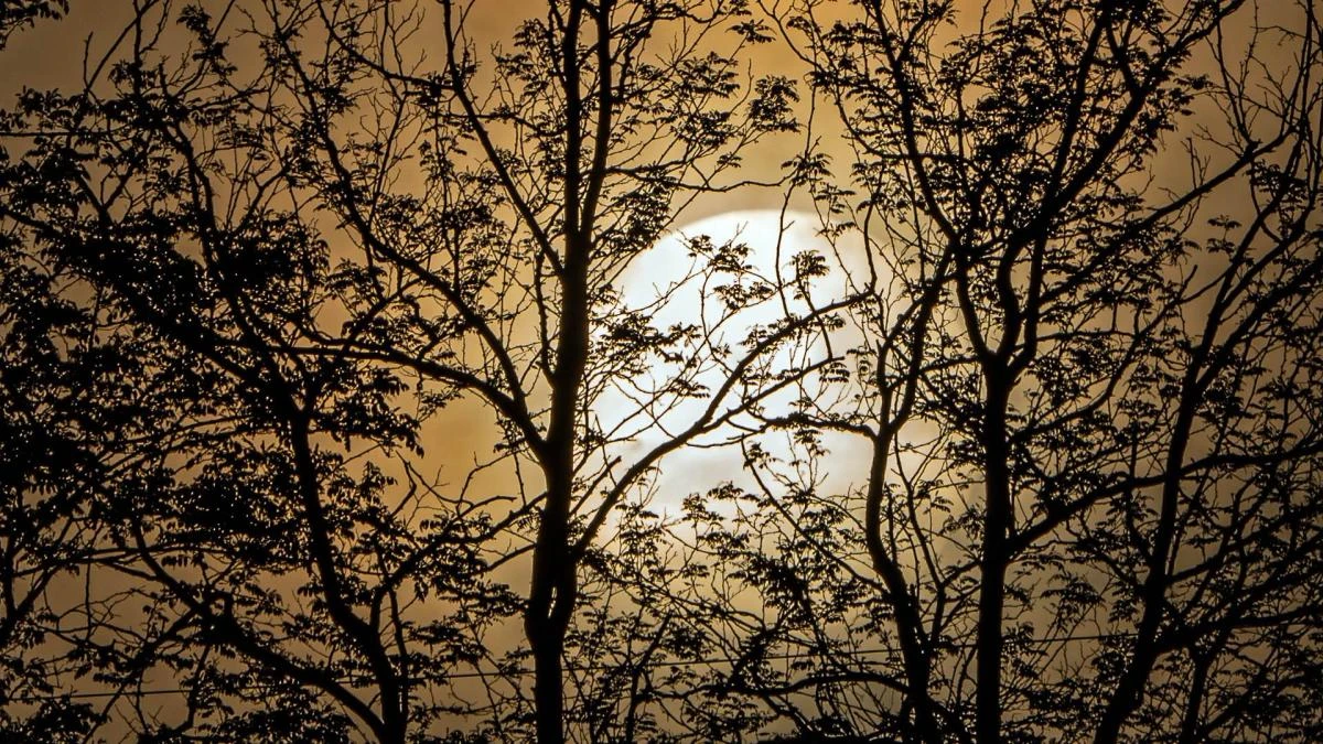 Mira cómo sale el sol sahariano en Catalunya