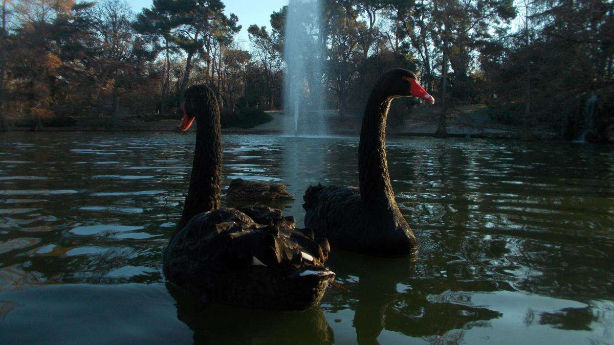 Luna y Lorenzo, amor al estilo de Tchaikovsky