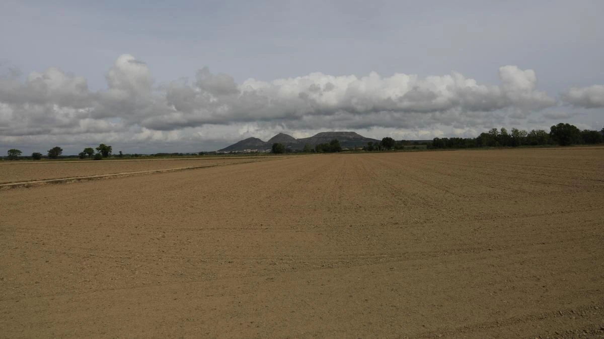 El desierto arado del Montgrí