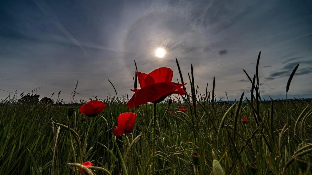 El gran halo solar de la primavera