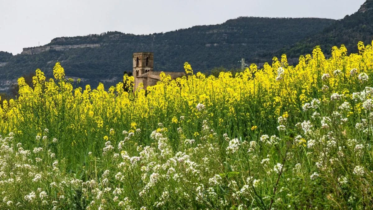 El santuario de la primavera en Balenyà
