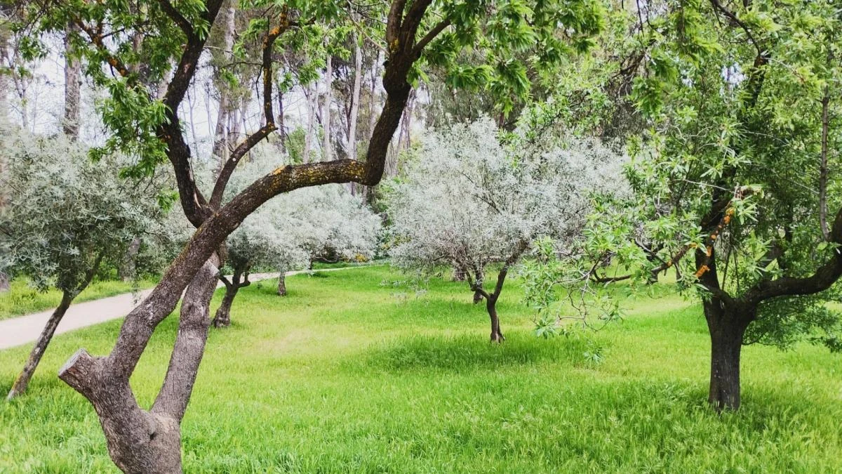 La salvaje primavera del parque de la Quinta de los Molinos