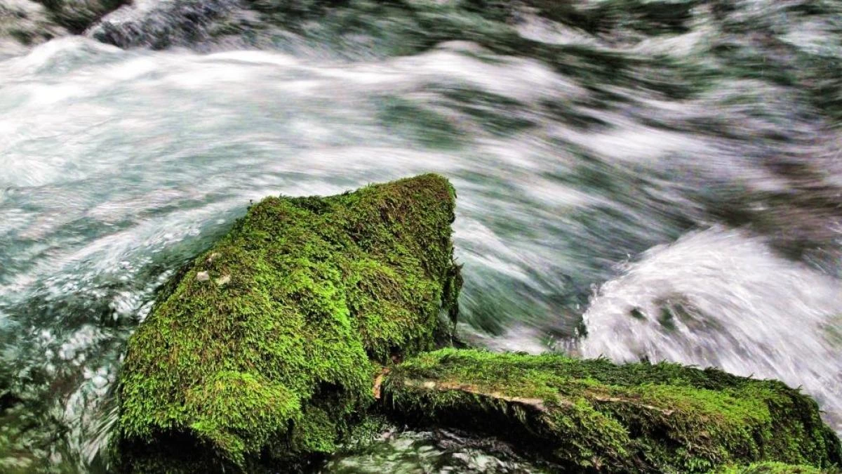 Las aguas bravas del Berguedà