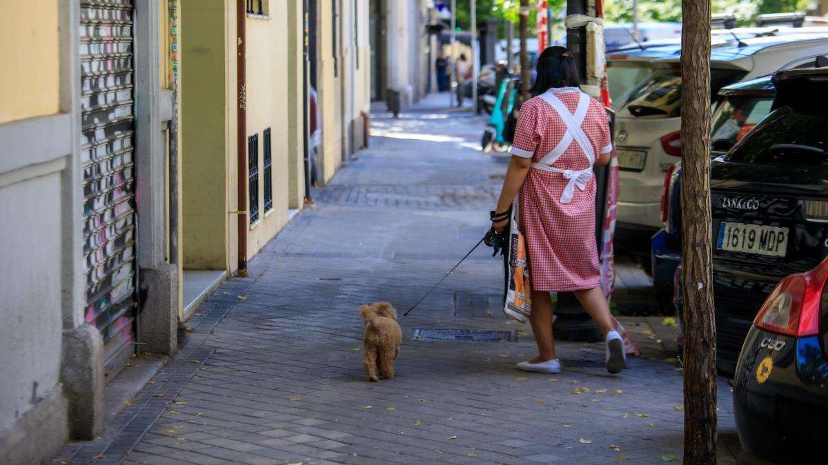 Los nuevos derechos de las empleadas del hogar: reconocimiento médicos, evaluación de riesgo y protocolo antiacoso